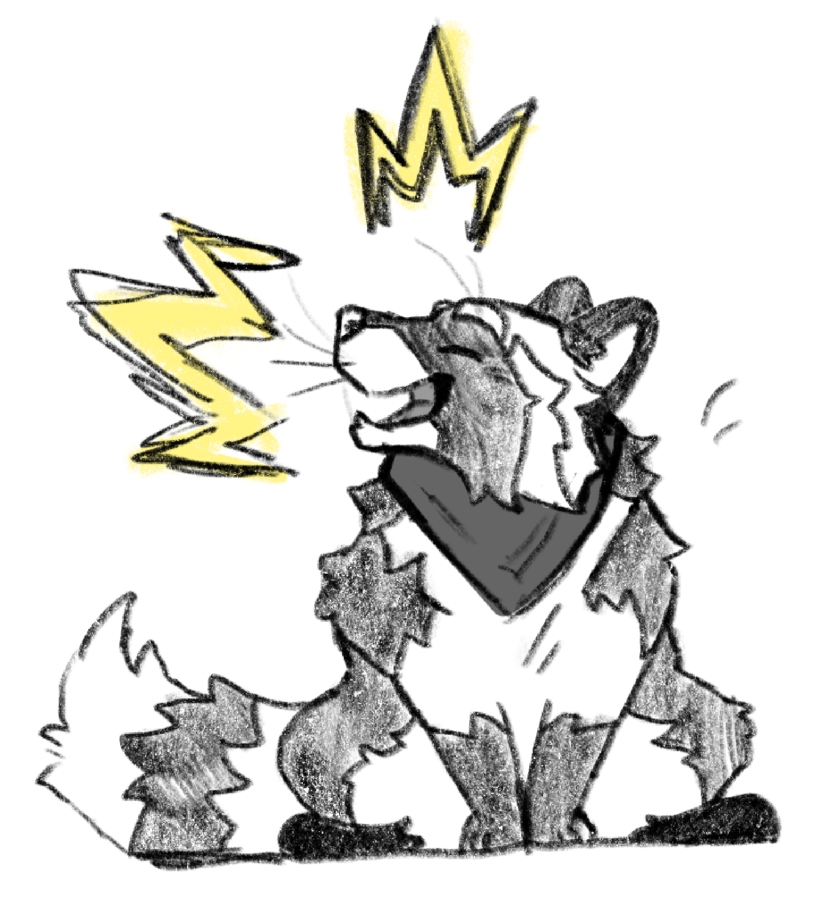Loud Raccoon